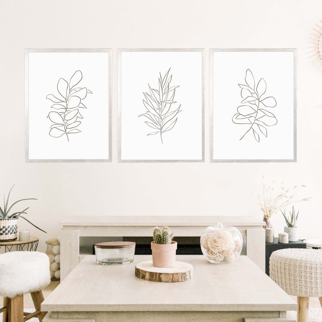 Eucalyptus Plant Illustrations - Set of 3