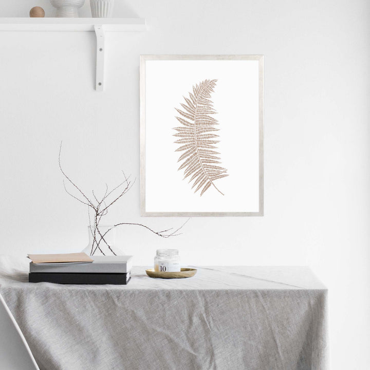 Fern Botanical Drawing