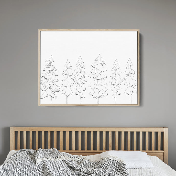 Evergreen Tree Illustration