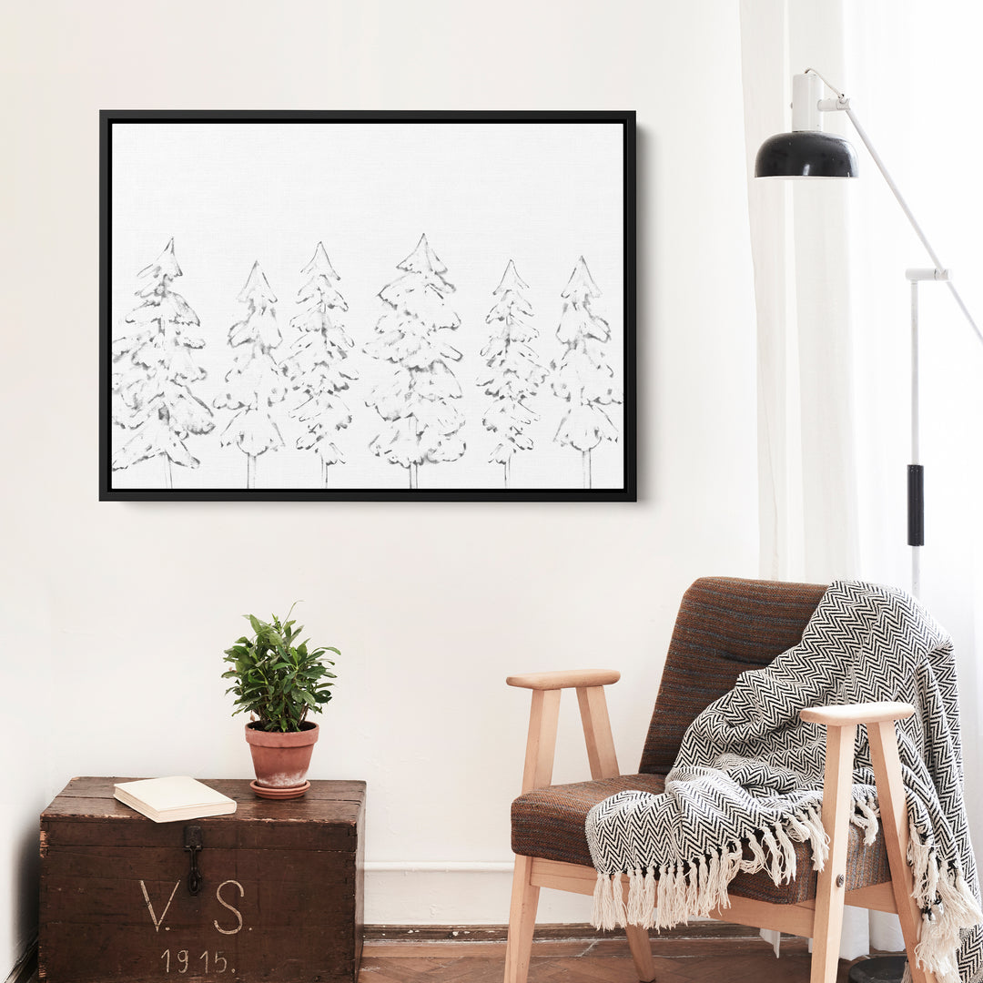 Evergreen Tree Illustration