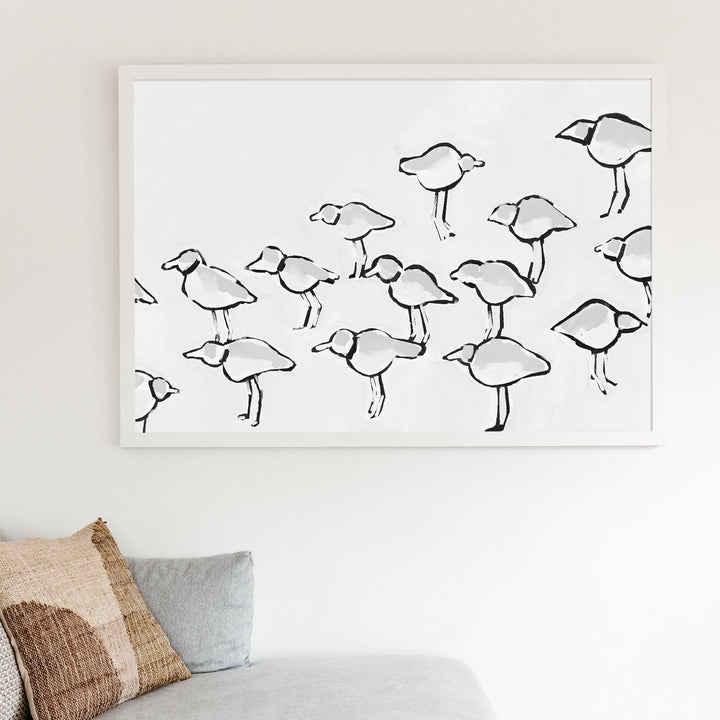 Black & White Piping Plover - Art Print or Canvas - Jetty Home