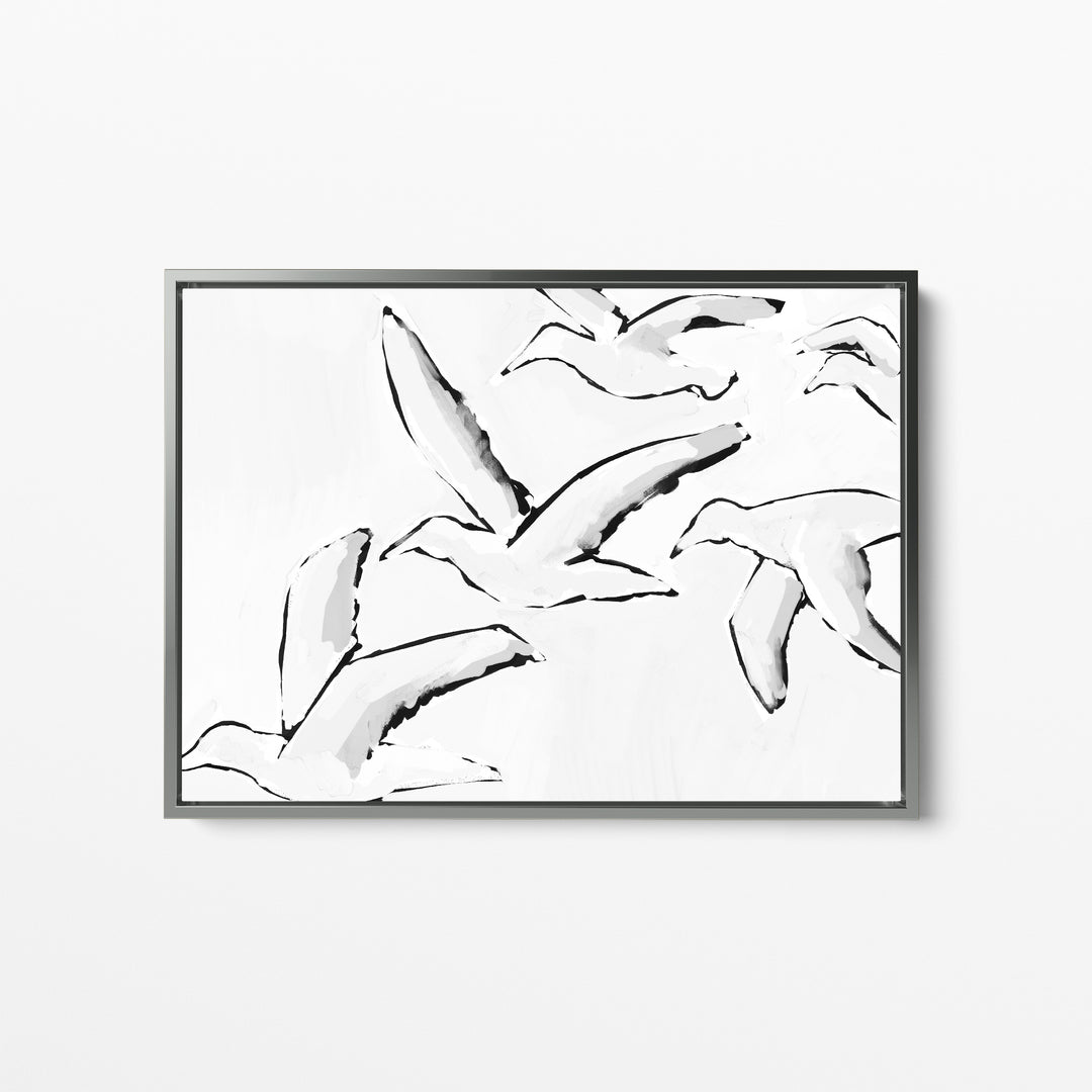 Black & White Gulls in Flight - Jetty Home