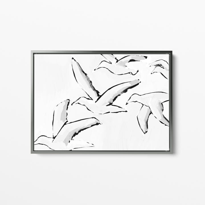 Black & White Gulls in Flight - Jetty Home