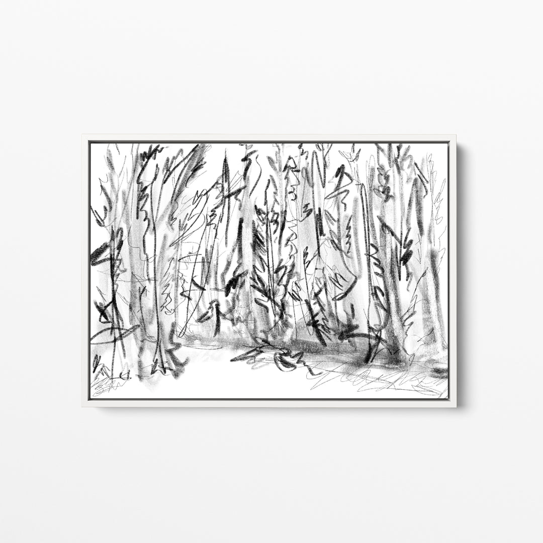Winter Woods Sketch - Jetty Home
