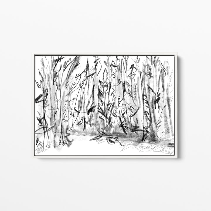 Winter Woods Sketch - Jetty Home