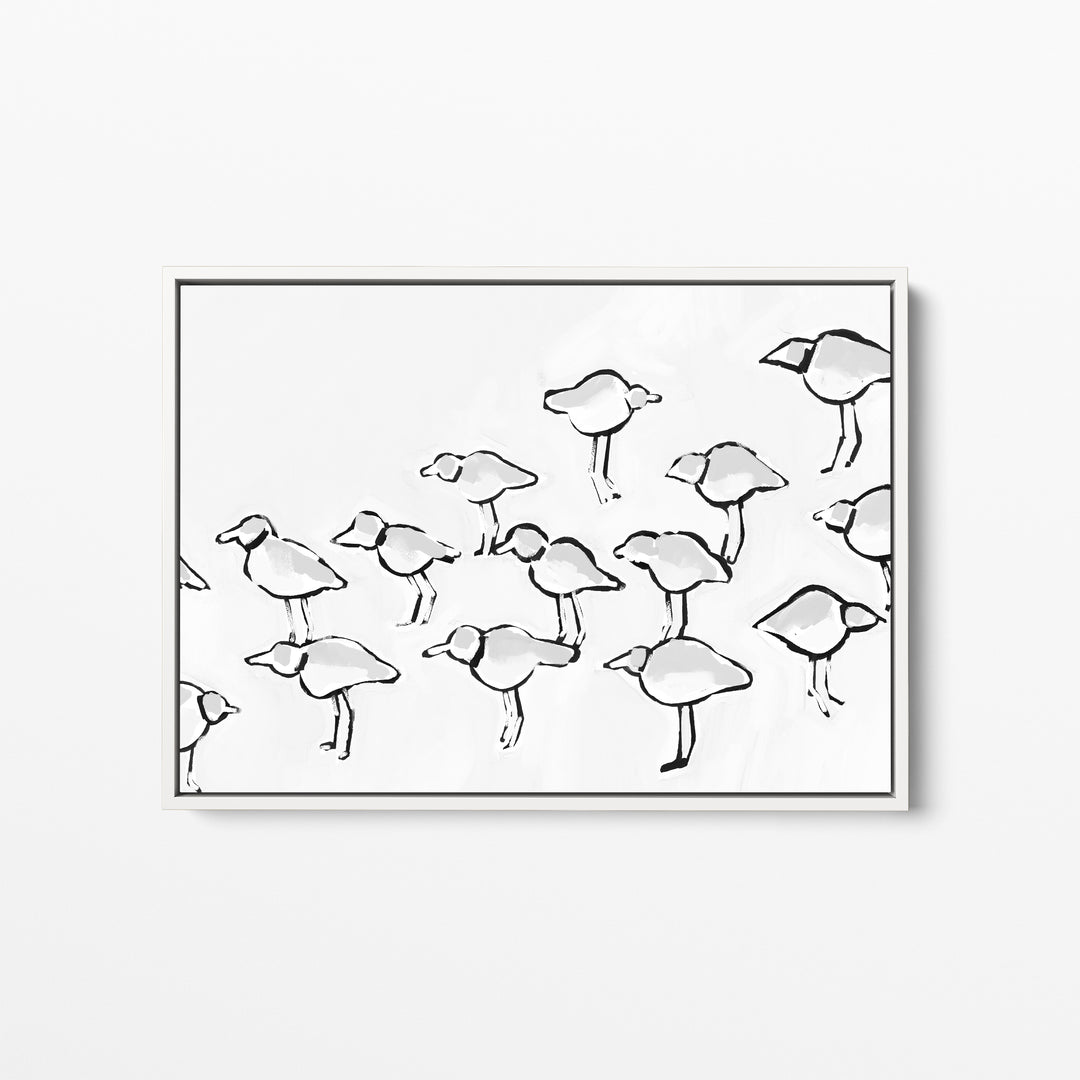 Black & White Piping Plover - Jetty Home