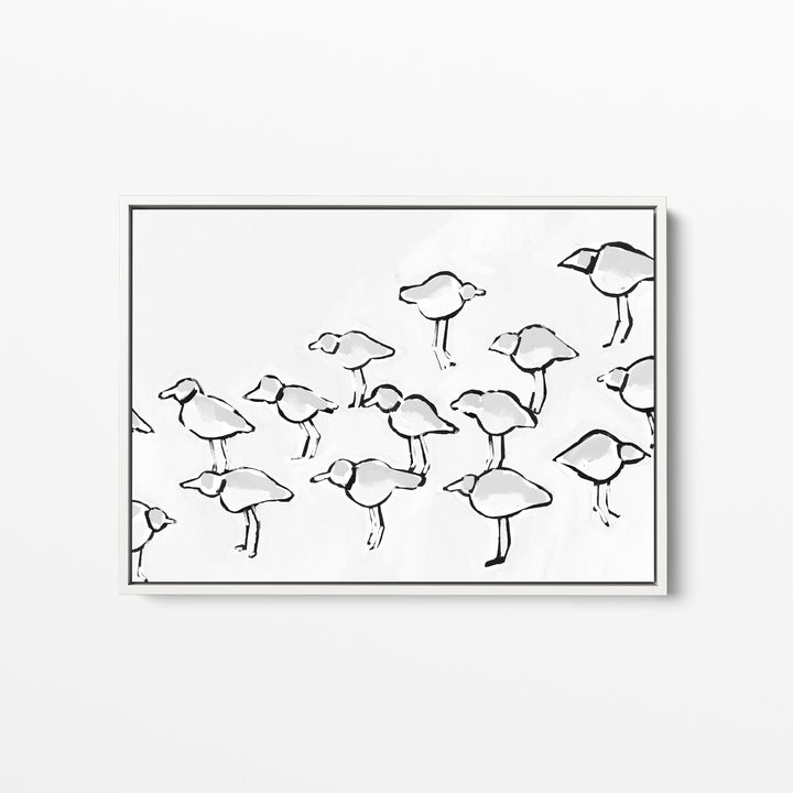 Black & White Piping Plover - Jetty Home