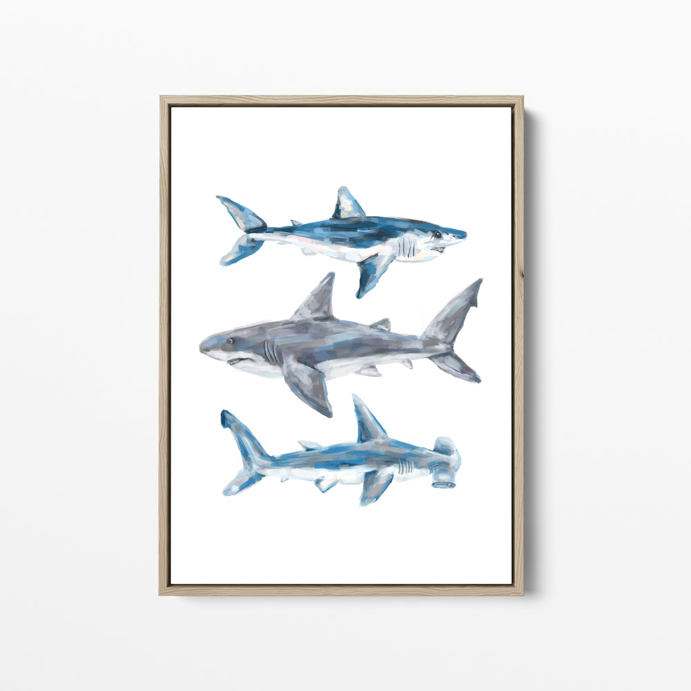 Great White, Mako + Hammerhead Shark - Jetty Home
