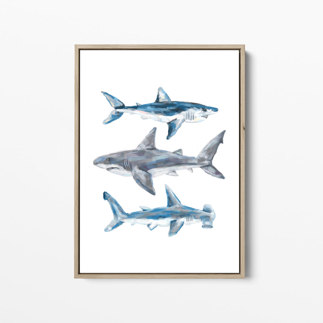 Great White, Mako + Hammerhead Shark - Jetty Home