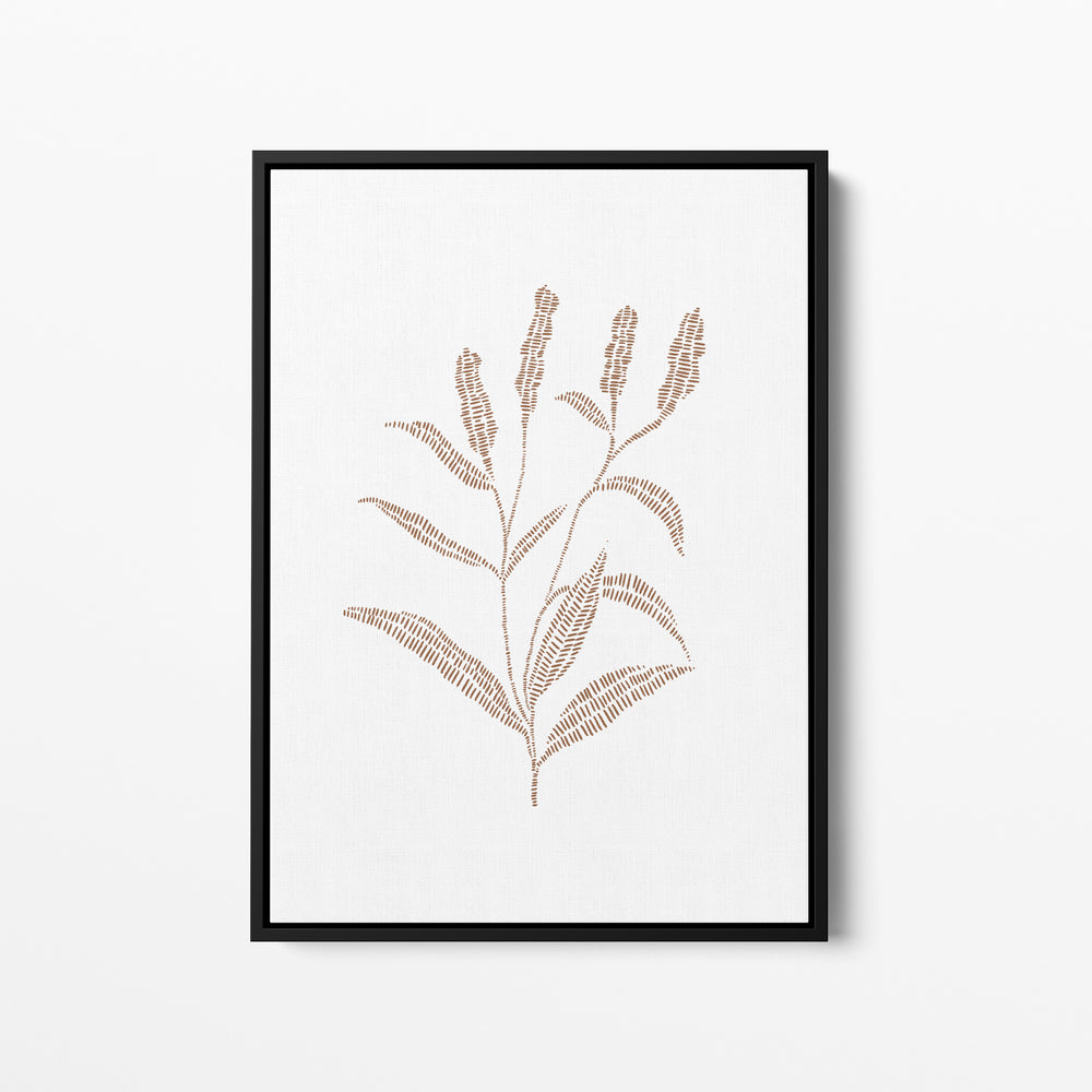 Buckwheat Botanical Drawing - Jetty Home