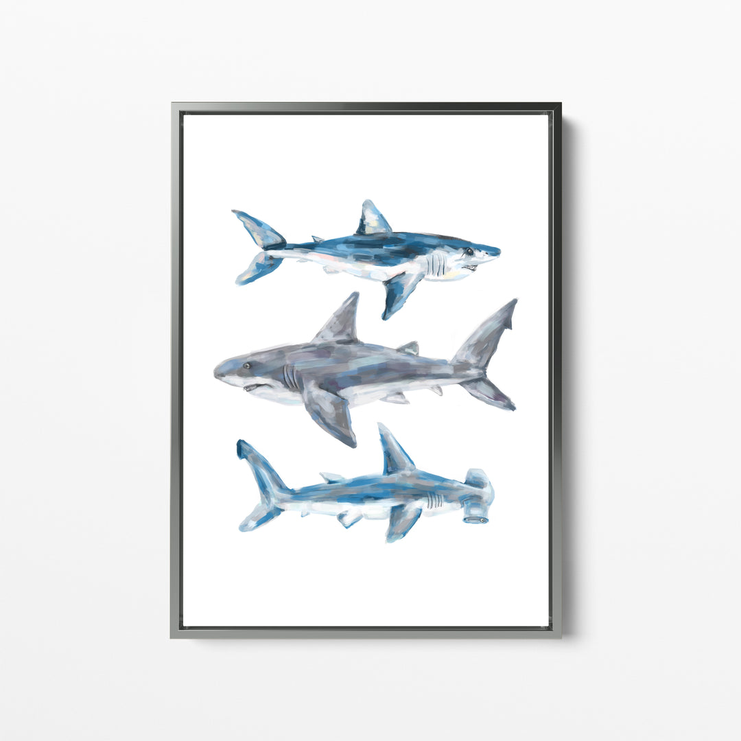 Great White, Mako + Hammerhead Shark - Jetty Home