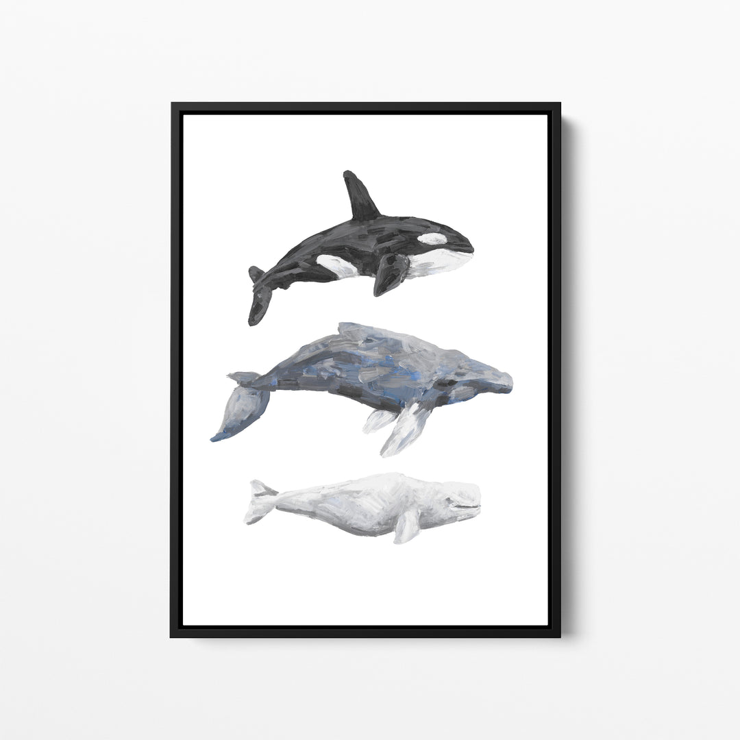 Whale Trio Watercolor - Jetty Home