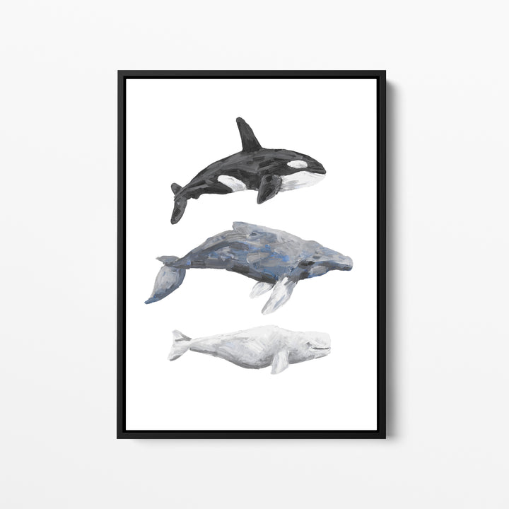 Whale Trio Watercolor - Jetty Home