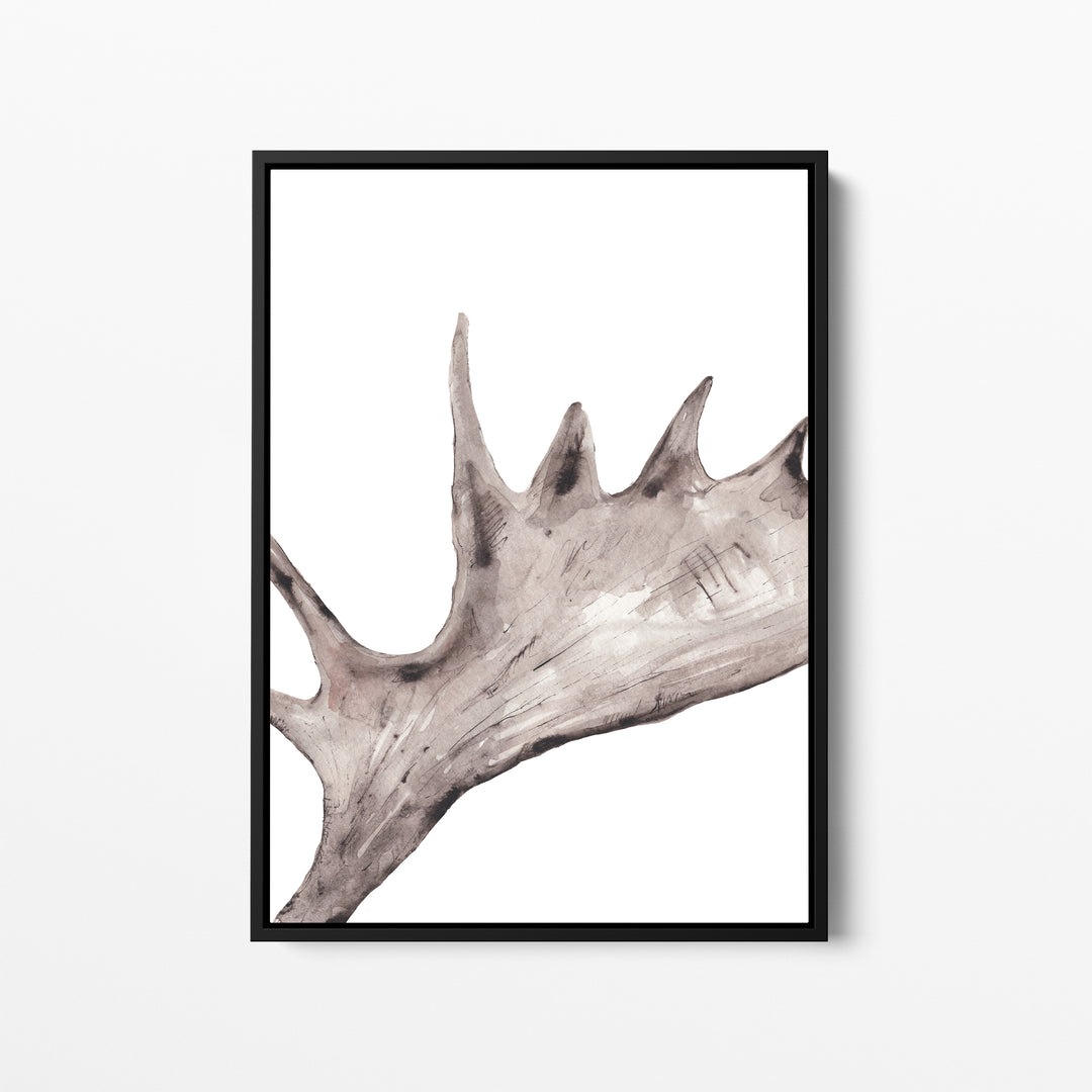Rustic Moose Antler - Jetty Home