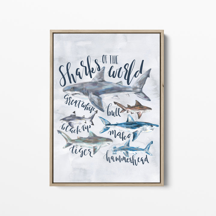 Sharks of the World - Jetty Home
