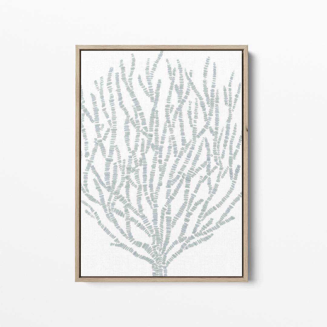 Salty Seaweed Botanical - Art Print or Canvas - Jetty Home