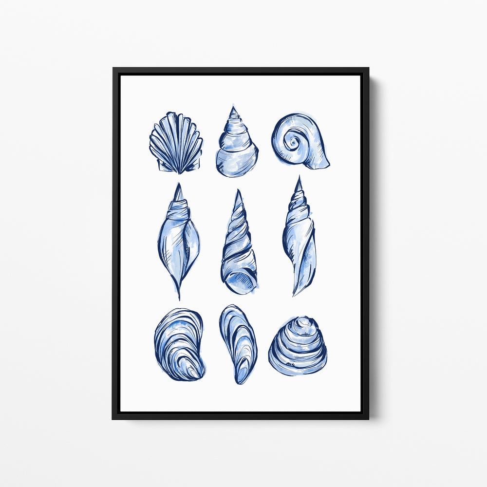 Blue Shell Study - Jetty Home