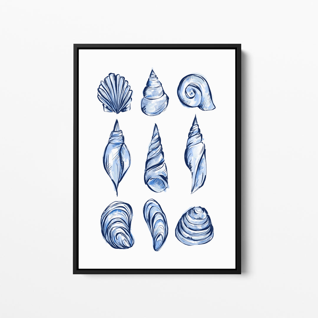 Blue Shell Study - Jetty Home