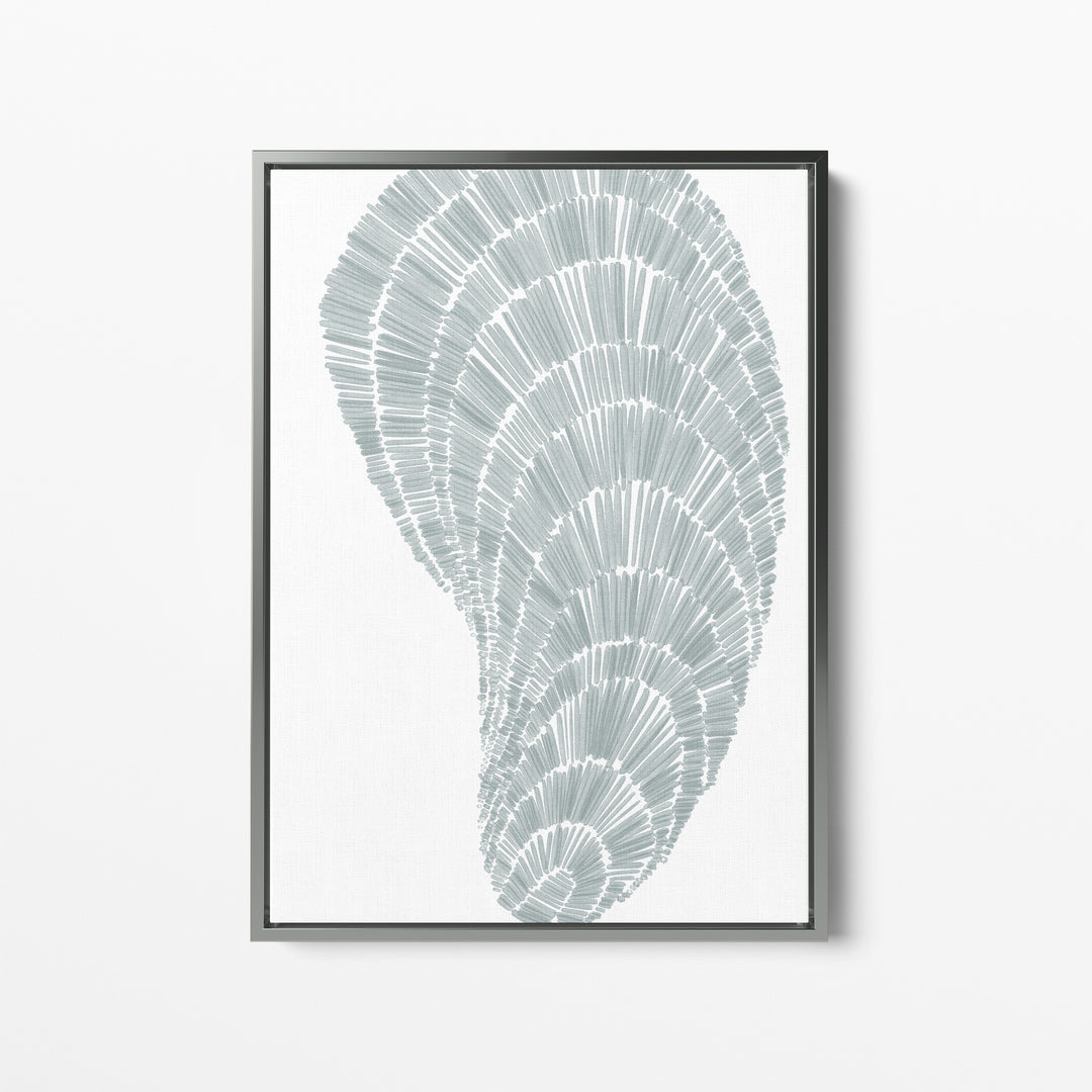 Salty Mussel Shell - Art Print or Canvas - Jetty Home