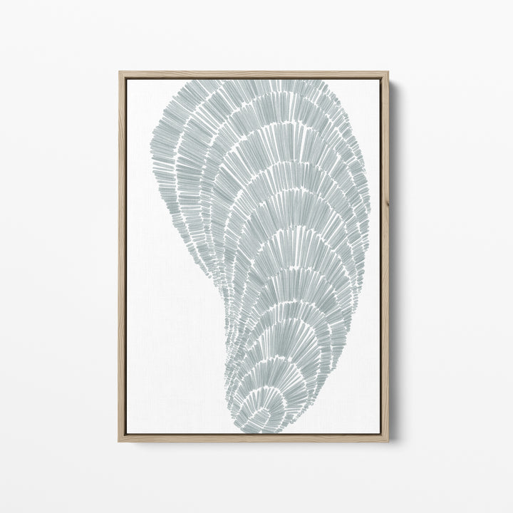 Salty Mussel Shell - Art Print or Canvas - Jetty Home