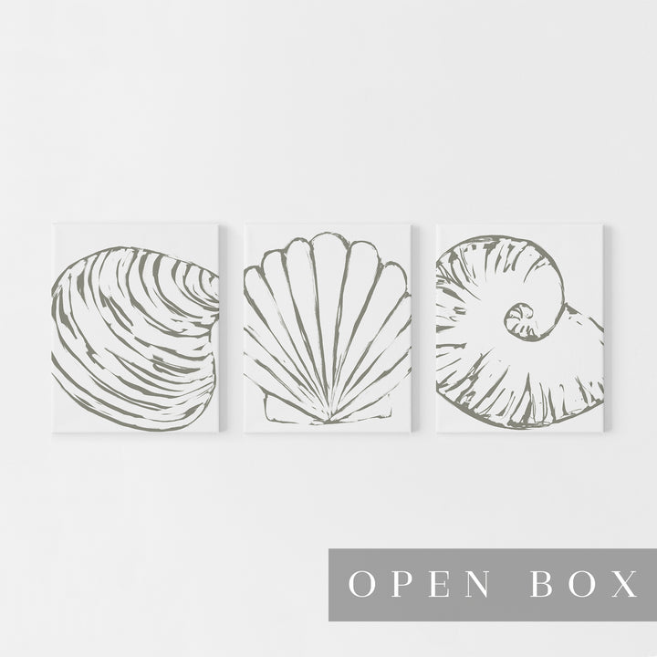 Minimalist Seashell Trio, No. 2 - Set of 3  - 11x14" Canvas Set - Jetty Home