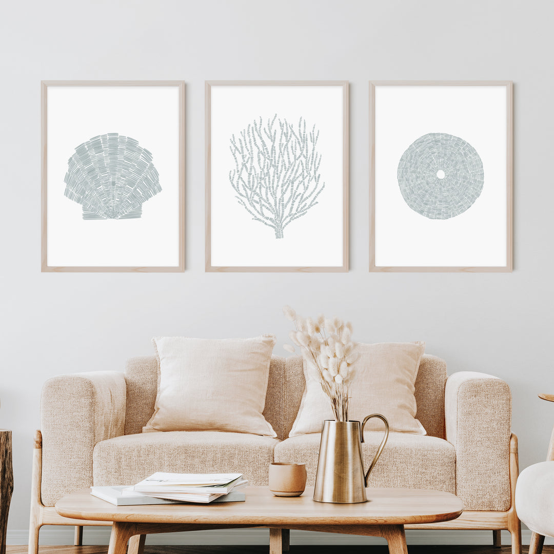 Deconstructed Seashell Trio, No. 2  - Set of 3  - Art Prints or Canvases - Jetty Home