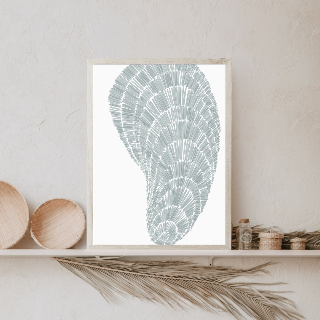 Salty Mussel Shell - Art Print or Canvas - Jetty Home