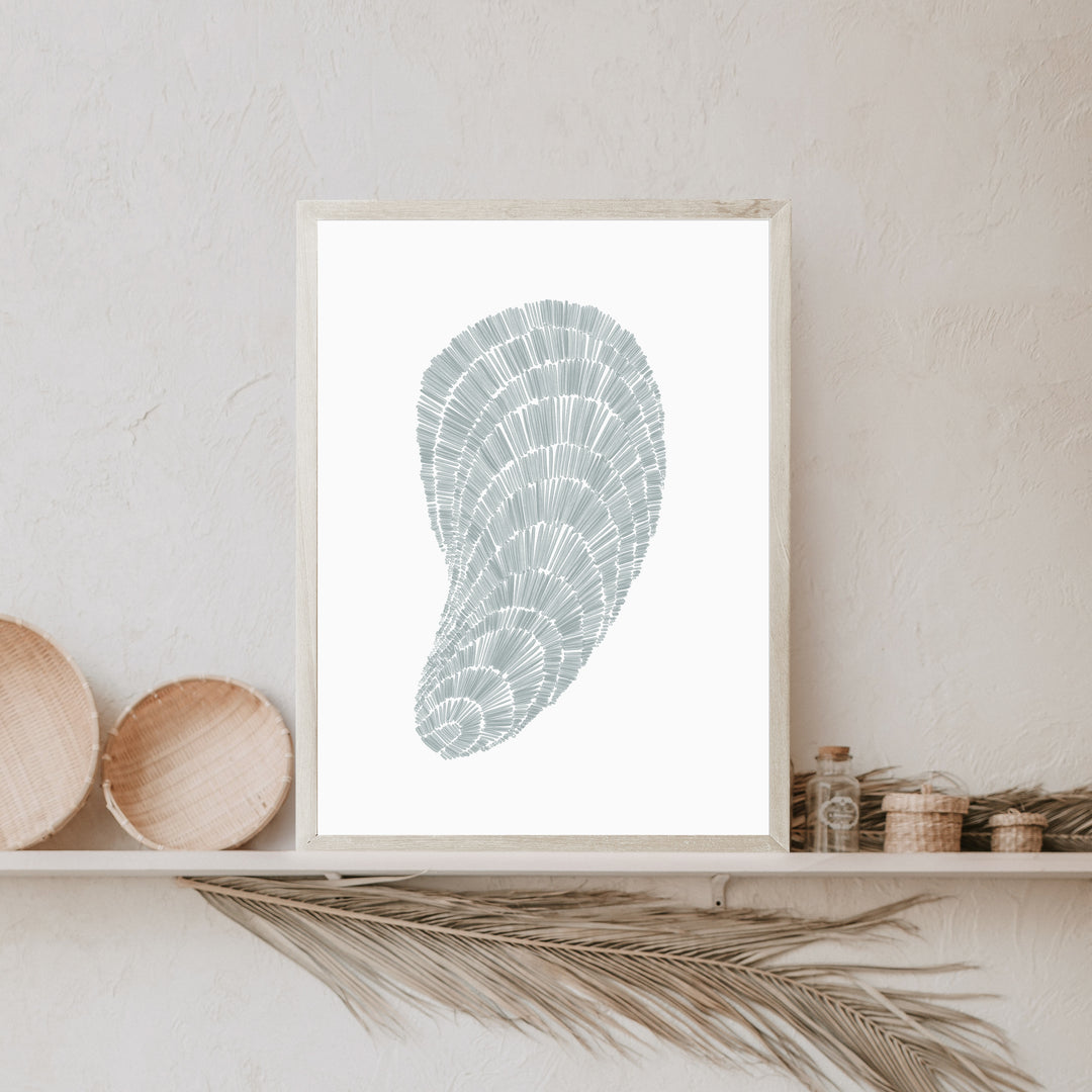 Deconstructed Mussel Shell - Art Print or Canvas - Jetty Home