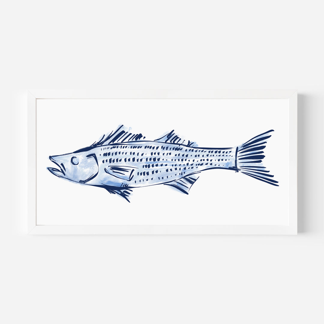 Striped Bass Study Panoramic - Jetty Home