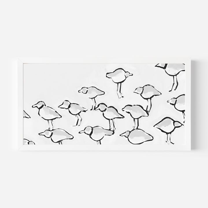 Black & White Piping Plover Panoramic - Jetty Home