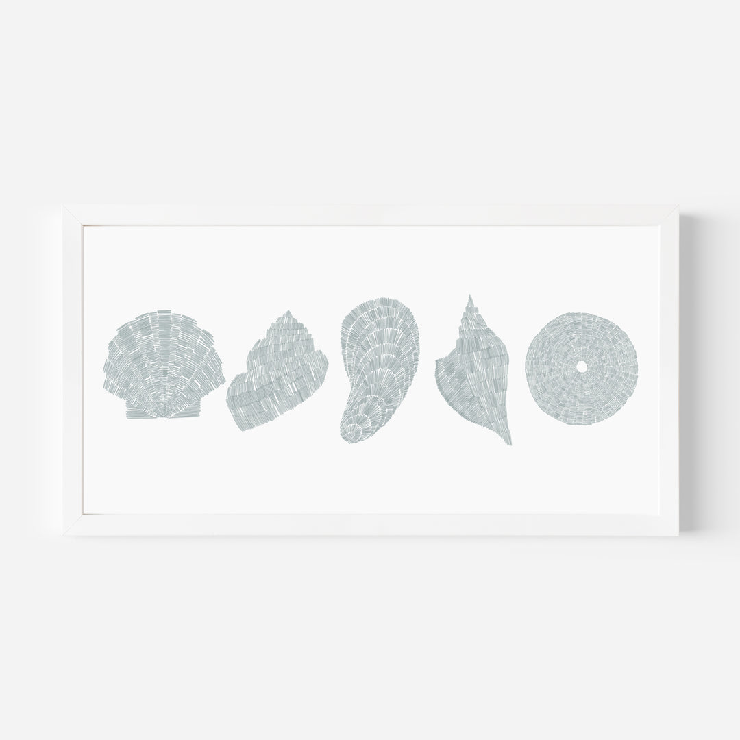 Deconstructed Seashells Panoramic - Art Print or Canvas - Jetty Home