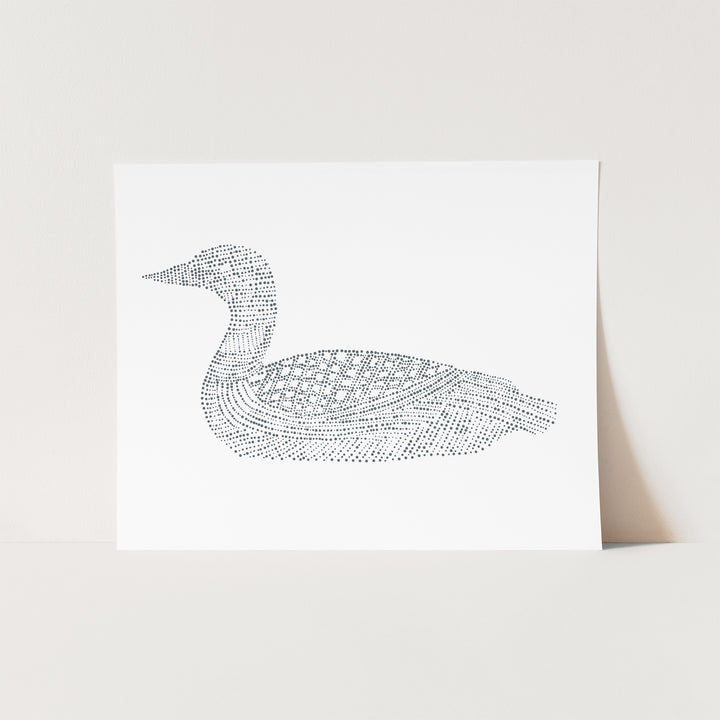 Common Loon Study