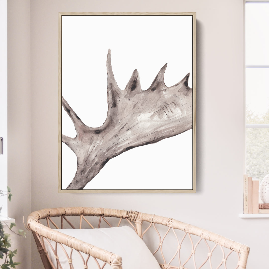 Rustic Moose Antler - Jetty Home