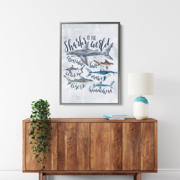 Sharks of the World - Jetty Home