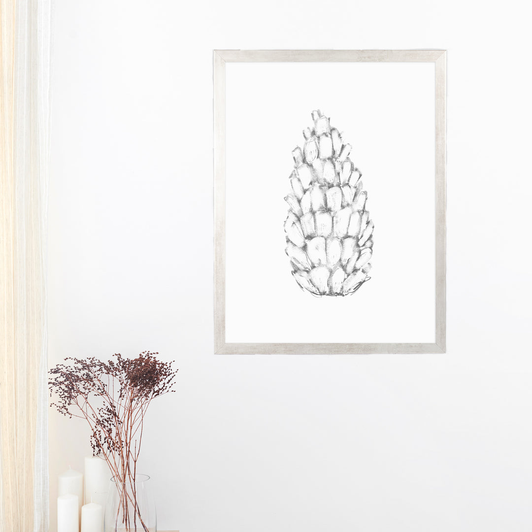 Pine Cone Illustration