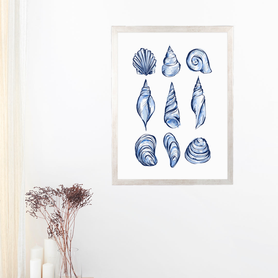 Blue Shell Study - Jetty Home