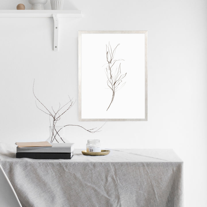 Minimalist Fall Plant Study, No. 1