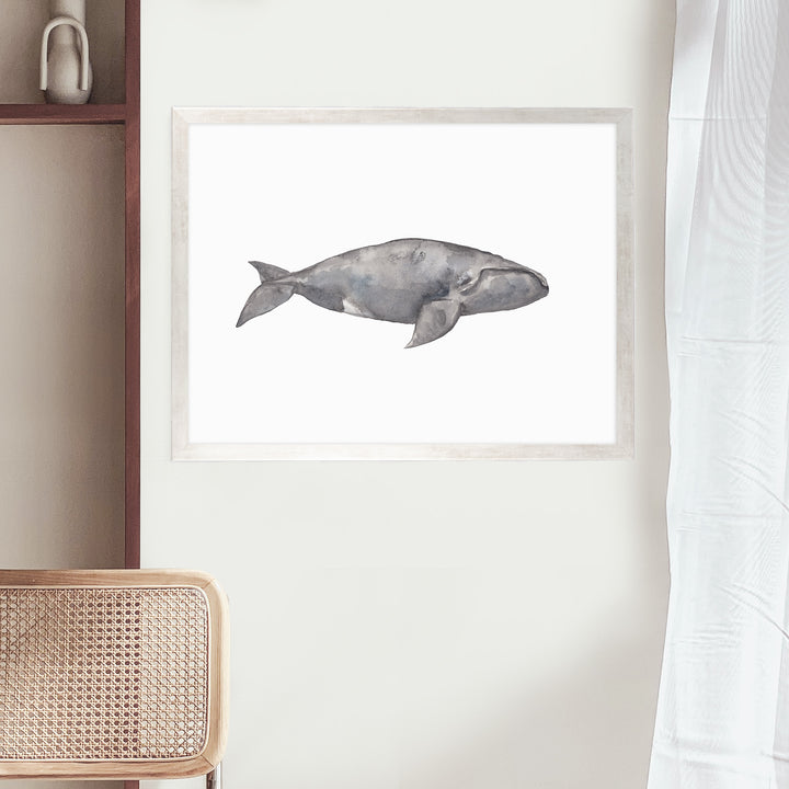 Watercolor Right Whale Painting - Jetty Home