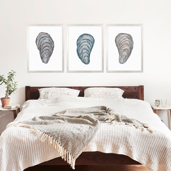 Drifted Mussels Triptych - Set of 3