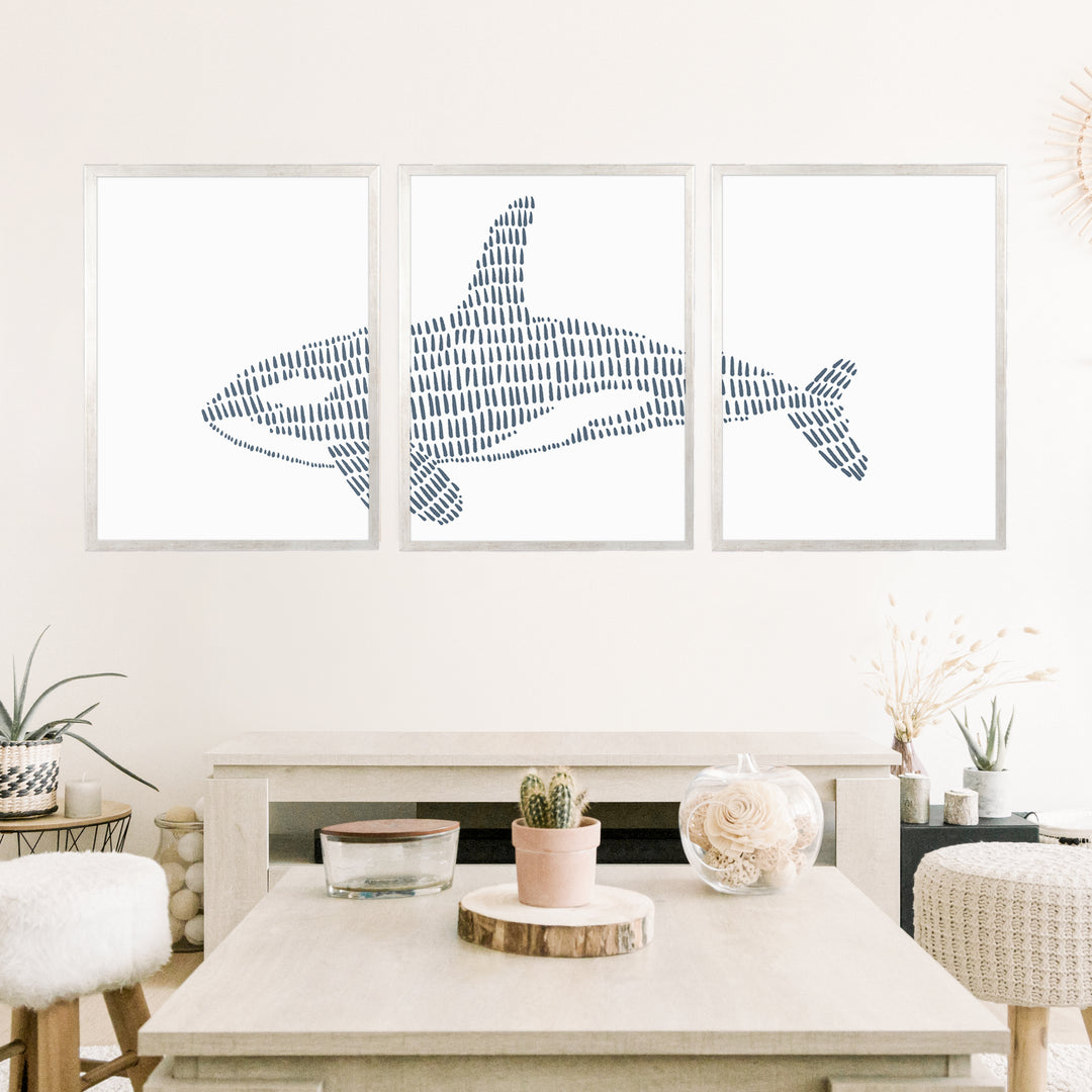 Orca Whale Illustration - Set of 3