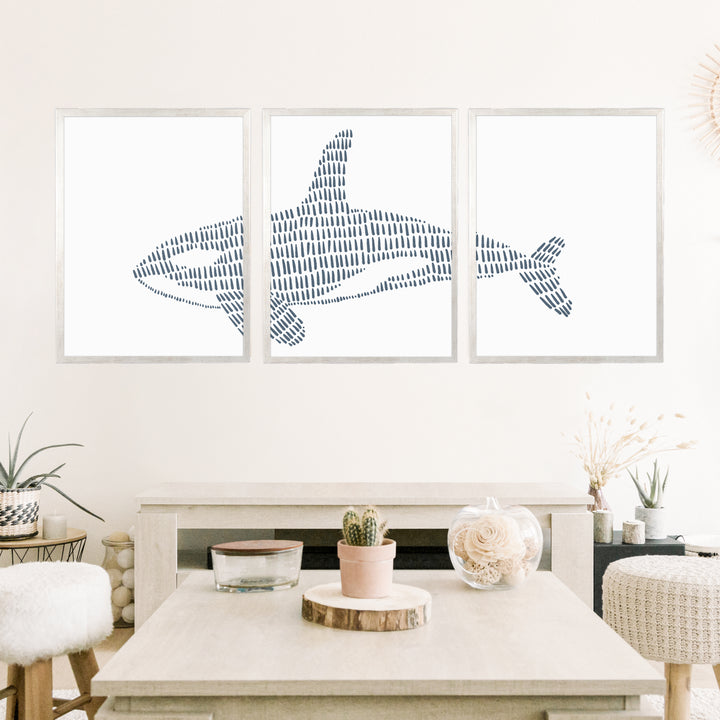 Orca Whale Illustration - Set of 3