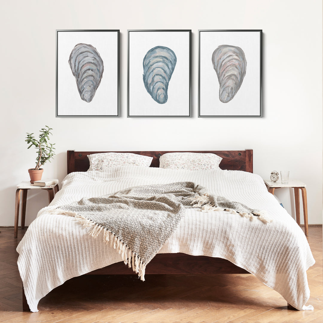 Drifted Mussels Triptych - Set of 3