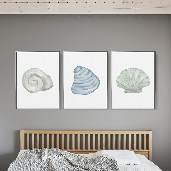 Seashell Trio, No. 2 - Set of 3