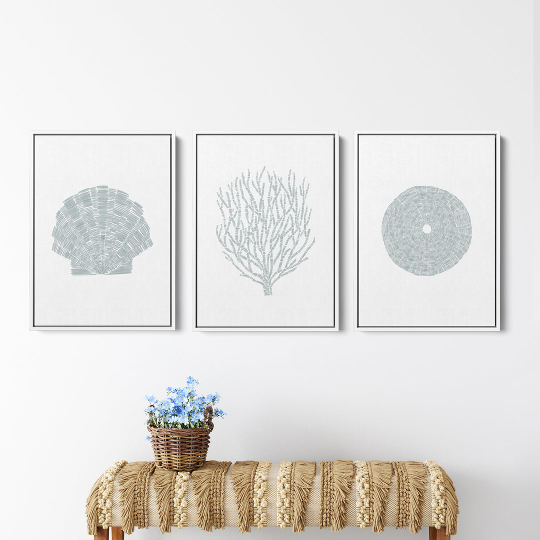 Deconstructed Seashell Trio, No. 2  - Set of 3  - Art Prints or Canvases - Jetty Home