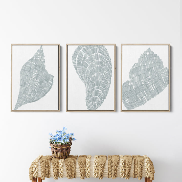 Salty Shells Triptych  - Set of 3  - Art Prints or Canvases - Jetty Home