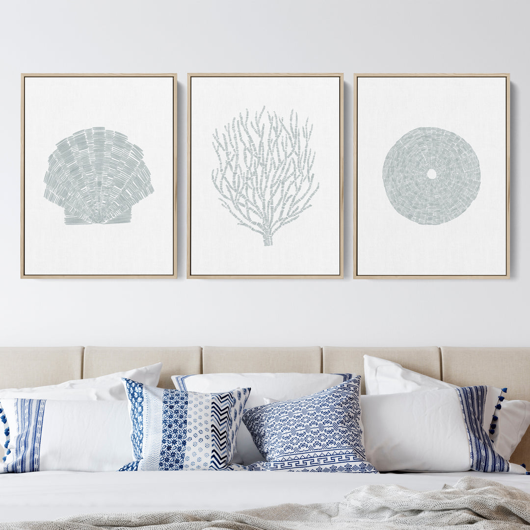 Deconstructed Seashell Trio, No. 2  - Set of 3  - Art Prints or Canvases - Jetty Home