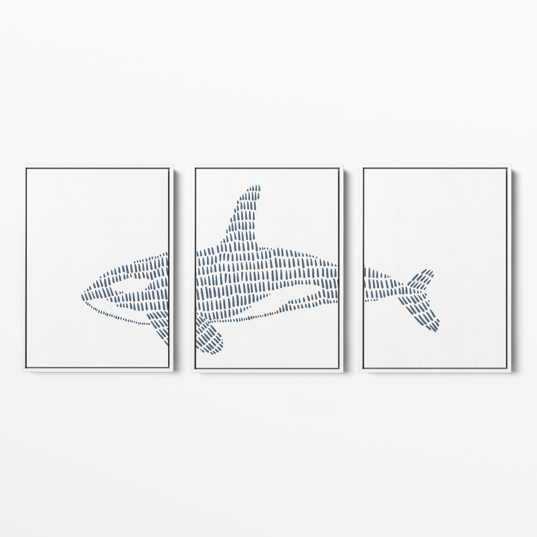 Orca Whale Illustration - Set of 3