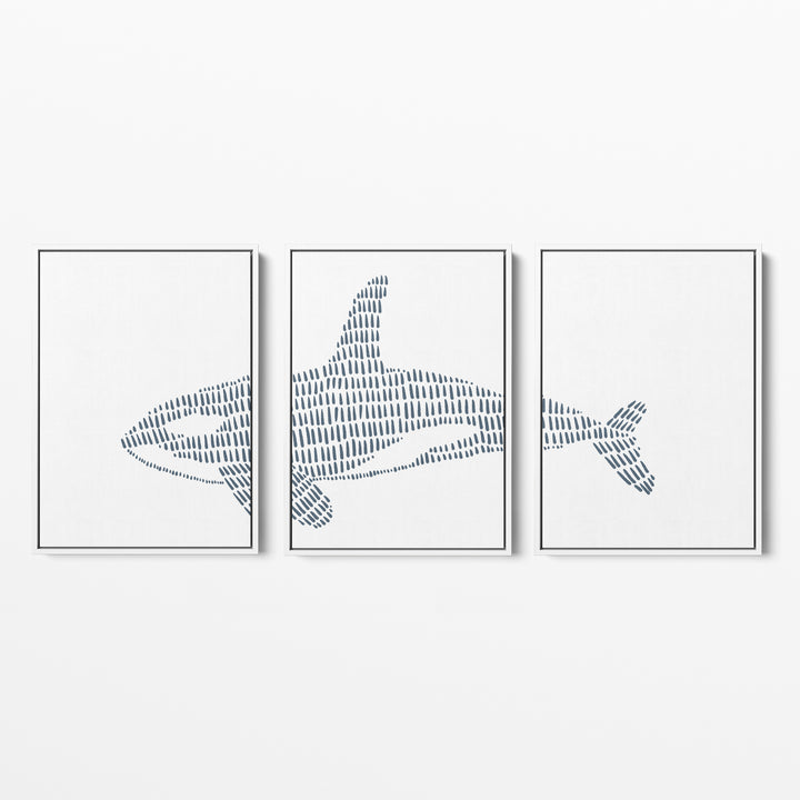 Orca Whale Illustration - Set of 3