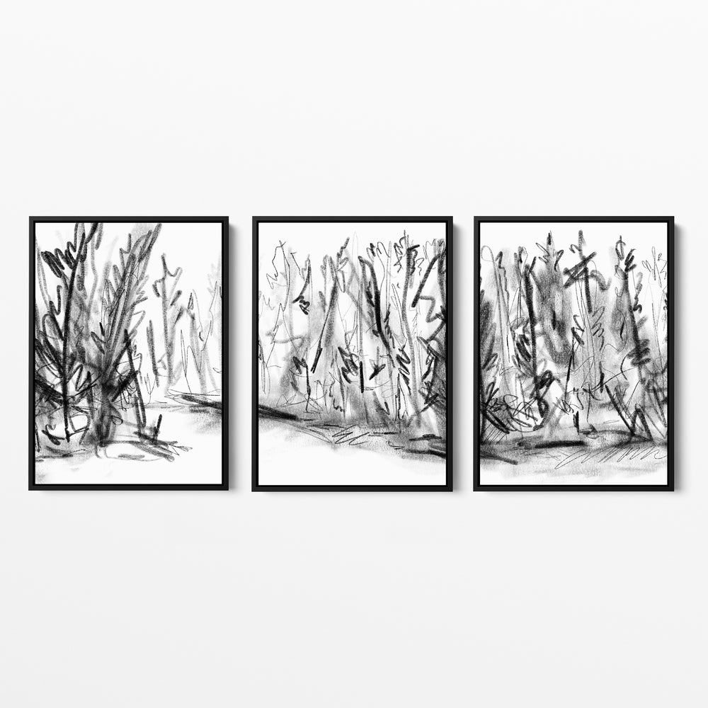 Woods Forest Black and White Sketch - Set of 3 - Jetty Home