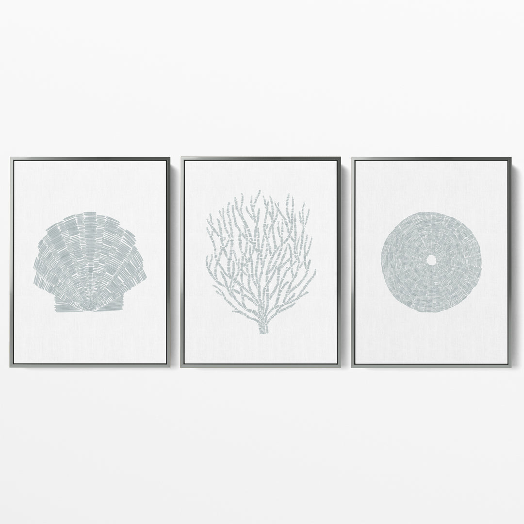 Deconstructed Seashell Trio, No. 2  - Set of 3  - Art Prints or Canvases - Jetty Home